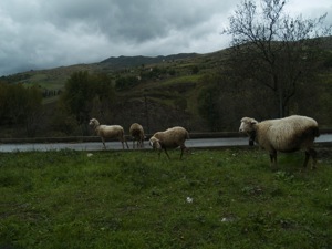 These things are all over the place...